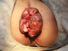 ��ϸ����������ѯ