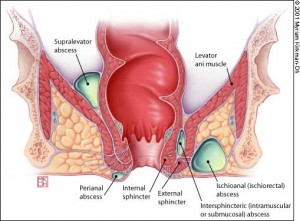 ���Ƹ���ŧ��