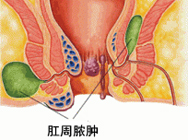 ���Ƹ���ŧ��